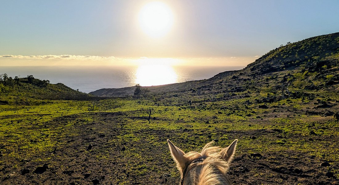 Exciting trail ride experience in the countryside